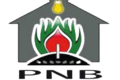 cropped-logo-pnb-favicon.png